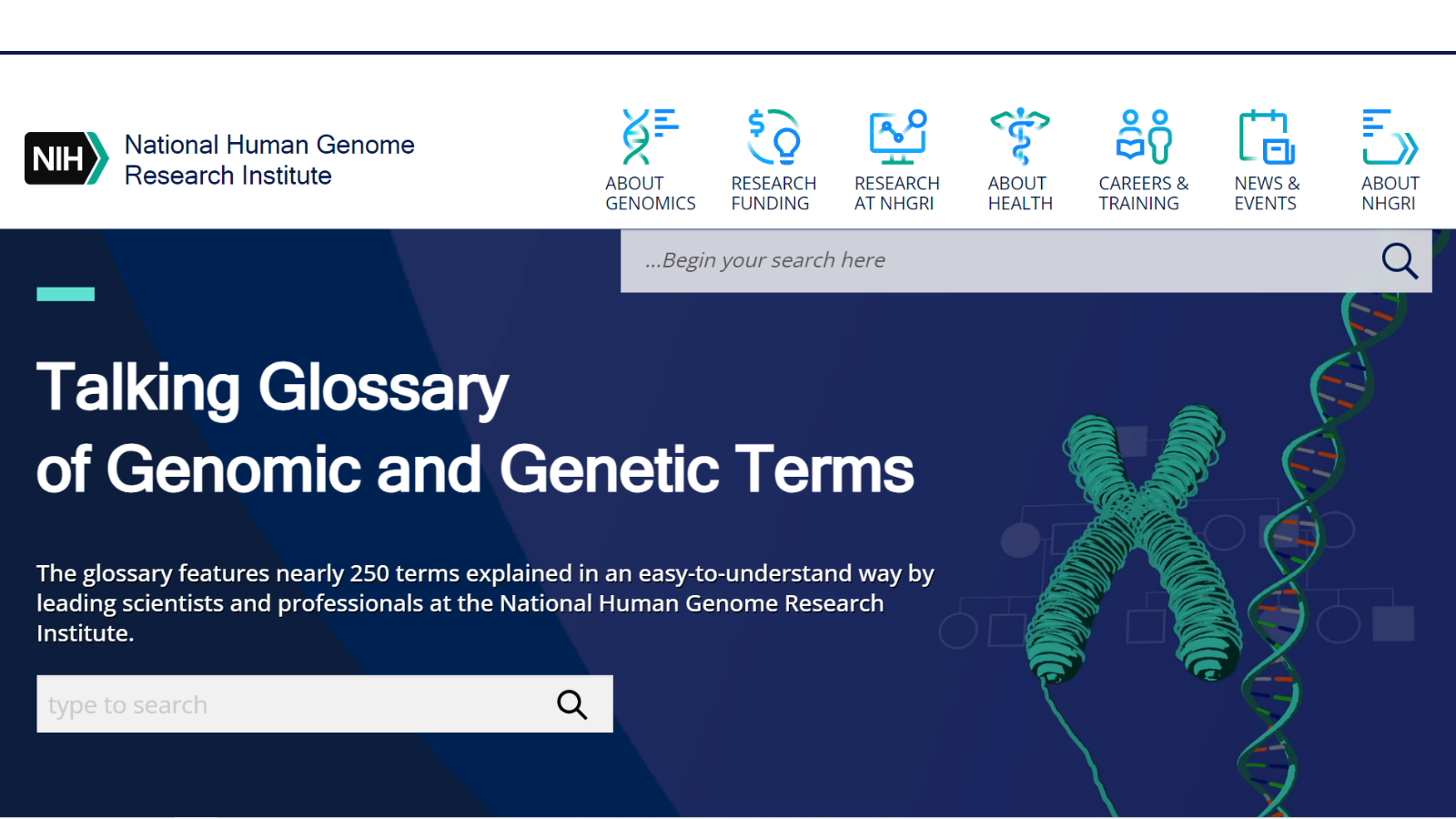 Illustration of chromosome and DNA